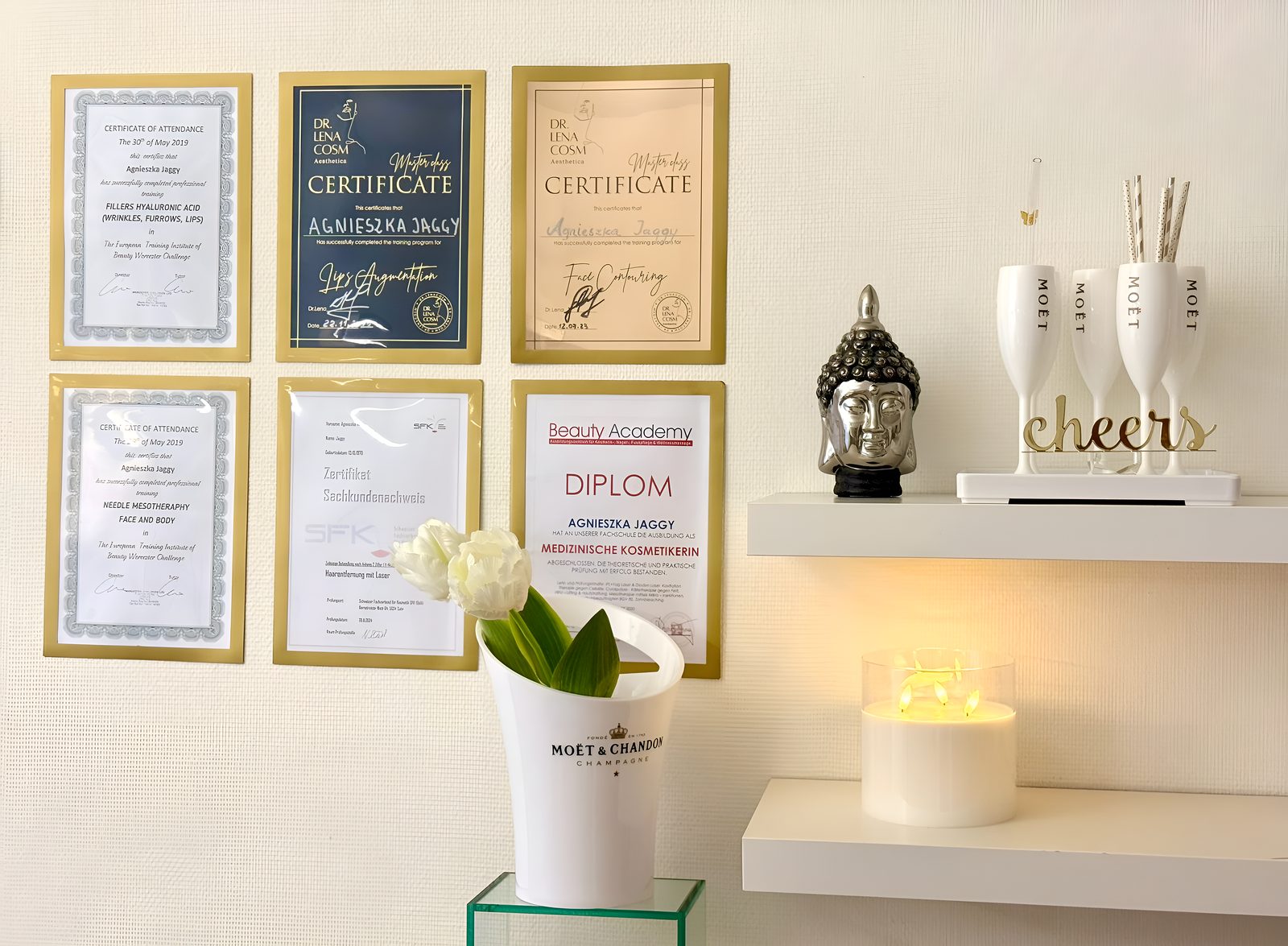 Zertifikate und Diplome bei Perfect Shape Zürich